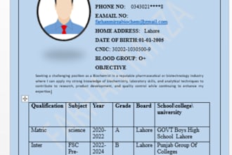 professional CV and resume writing