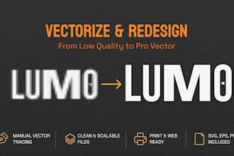 manually vectorize logo or ai image in clean svg
