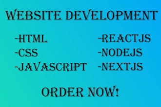 do professional and modern web development