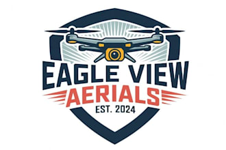 design excellent drone logo