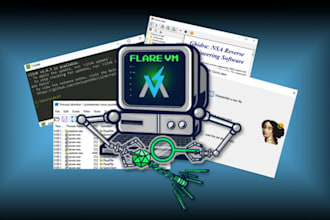 do malware analysis, reverse engineering, and digital forensics