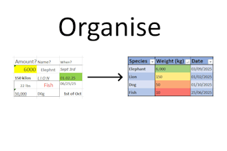 ogranise and analyse data and produce a report