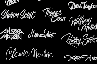 create a custom lettering logo for a professional individual