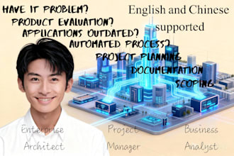 strategize IT solutions, pm, architect, ba, developer, program