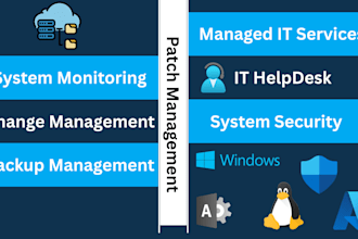 provide managed IT services and monthly IT support