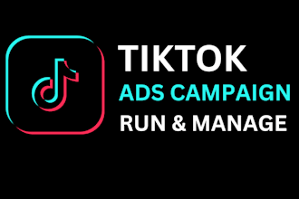 run tik tok ads campaigns, tik tok ads manager, and tiktok marketing