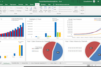 prepare investor ready financial model, forecast and budget