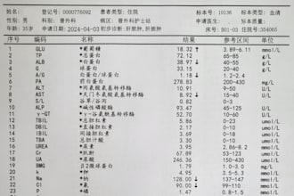 translate english into simple and easy to understand chinese