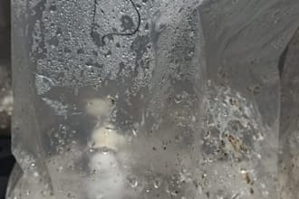 help you grow gourmet and medicinal mushrooms at home