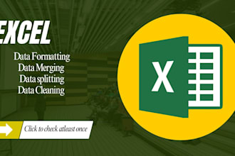data  cleaning and excel