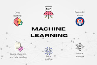 build ai ml dl nlp CV models plus data labeling expert