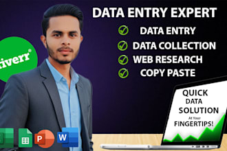 fast accurate data entry, pdf to excel, web research