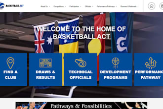 design basketball website pickleball website cricket website sports website