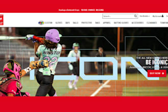 build professional website for baseball, tennis, football, volleyball, hockey