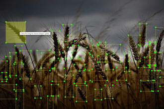 annotate images with bounding box, segmentation  and polygon