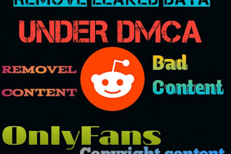 dmca takedown notice,unauthorized use of copyrighted content on reddit
