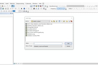 conduct all analyses related to gis and rs