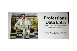 provide expert data entry and data mining services in ms excel