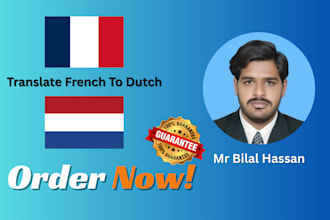 provide professional french to dutch translation
