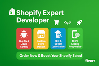 create shopify expert developer custom liquid coding coder bug fix website store