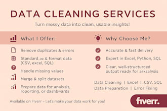clean, organize, and prepare your data in excel or python