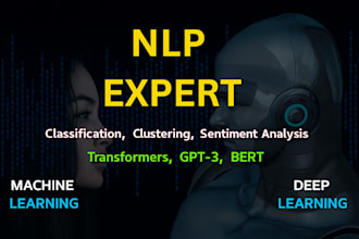 offer expert nlp solutions for ml, ai, and nlp project