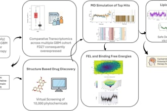 network pharmacology, gene ontology and MD simulation