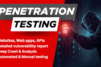 perform expert web app and API penetration testing