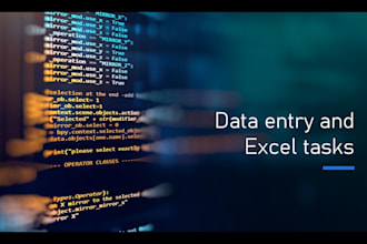do data entry and excel tasks
