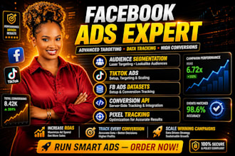 fix facebook ads audience segmentation, tiktok, fb ads datasets, conversion API