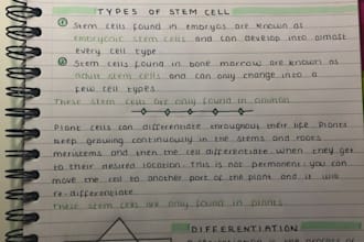 write anything with my beautiful writing