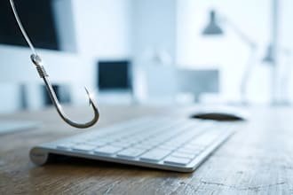 generate high quality ai stock photos using adobe stock ai
