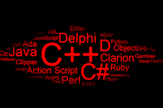 write professional and student computer programs