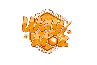 create graceful and fantastic honey logo design