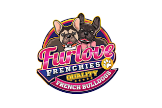 create exclusive and marvelous french bulldog logo design