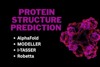 do in silico protein structure prediction