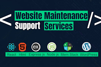 provide professional website maintenance, updates,and support