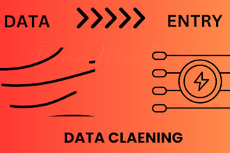 data entry and cleaning
