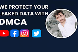 send professional dmca takedown notice copyright infringement removal
