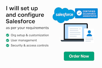 set up and configure salesforce for your business
