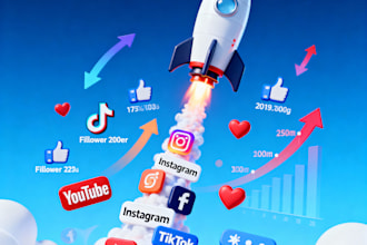 do instant youtube,ig,tiktok,facebook,twitter and linkedin promotion with ads