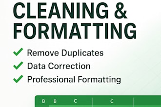 clean, organize and format excel spreadsheets accurately