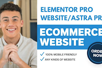 design wordpress holiday online ecommerce store astra pro elementor pro website