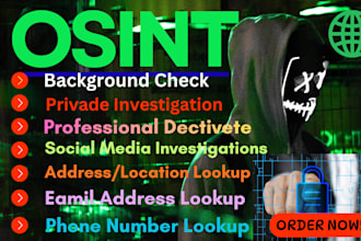 provide background check, osint  and private detective