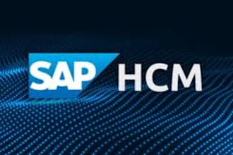 do sap abap development of hcm HR module implementation