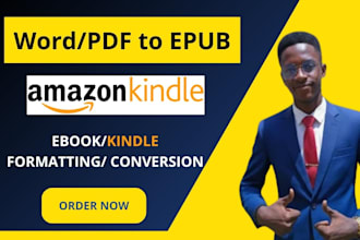 do epub conversion book formatting and ebook conversion from pdf word to epub