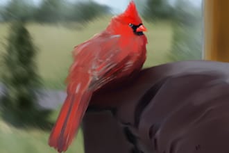 create a customized illustration