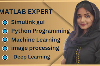 do matlab simulations, coding, simscape and simulink modelling, spss, stateflow