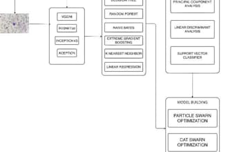 do tasks related to data processing and data analysis