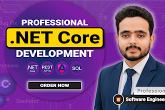 be your asp net core web API, rest API backend and frontend angular developer